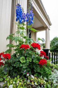rotch jones duff house and garden museum new bedford ma