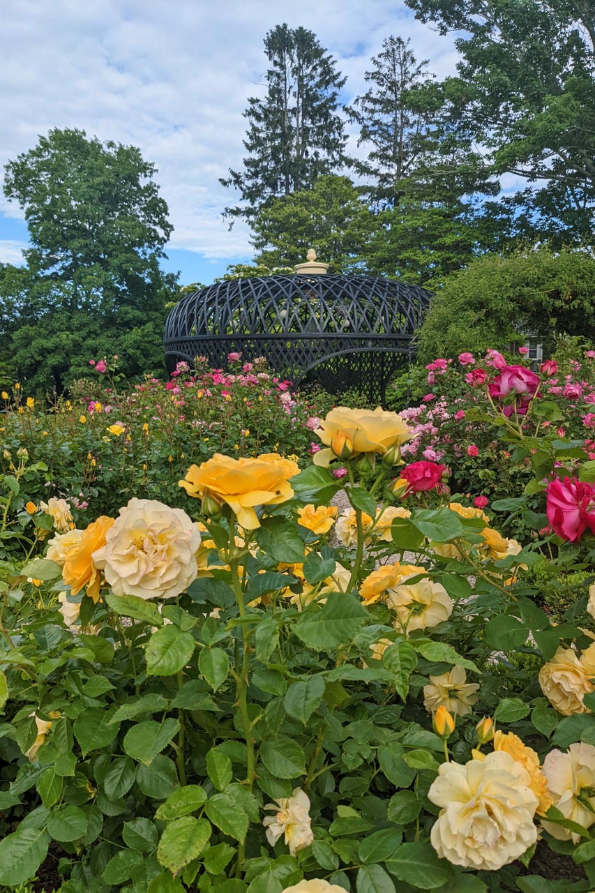 rotch jones duff house and garden museum new bedford ma